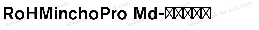 RoHMinchoPro Md字体转换